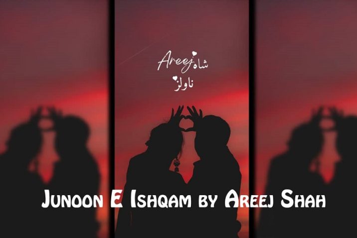 Novel by Areej Shah