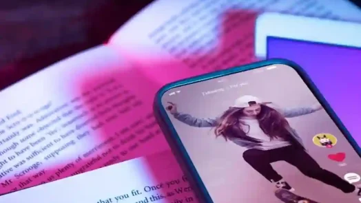 Instagram Story Viewer Iganony